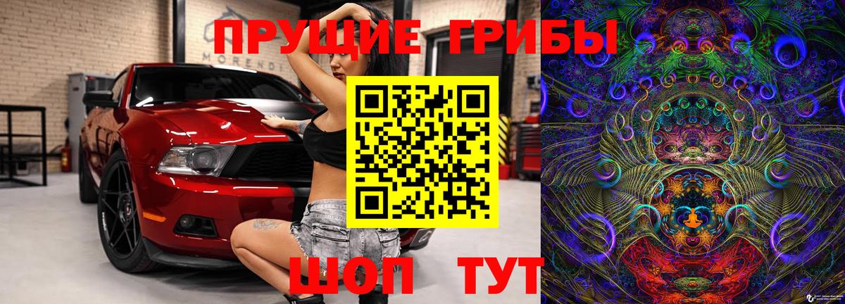 Псилоцибиновые грибы прущие грибы Лысьва